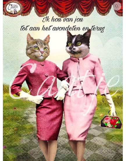 Postkaart Caatje 36 Postkaart Caatje 36