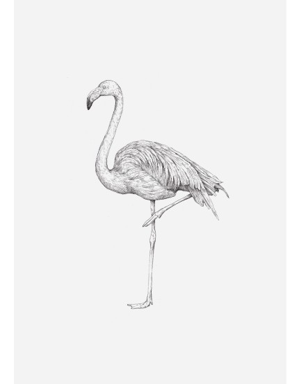 postkaart Inkylines flamingo