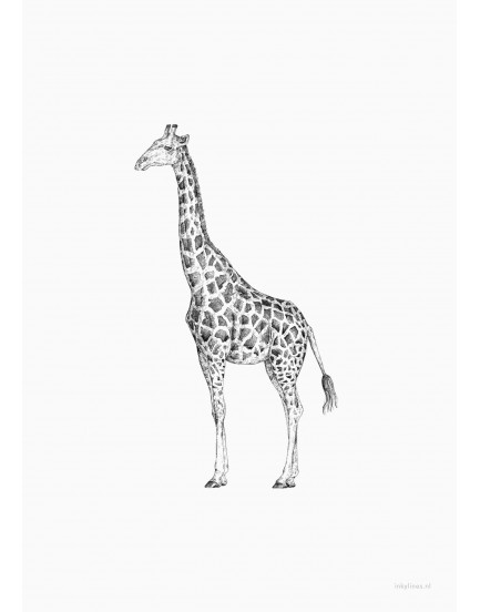 postkaart Inkylines giraf