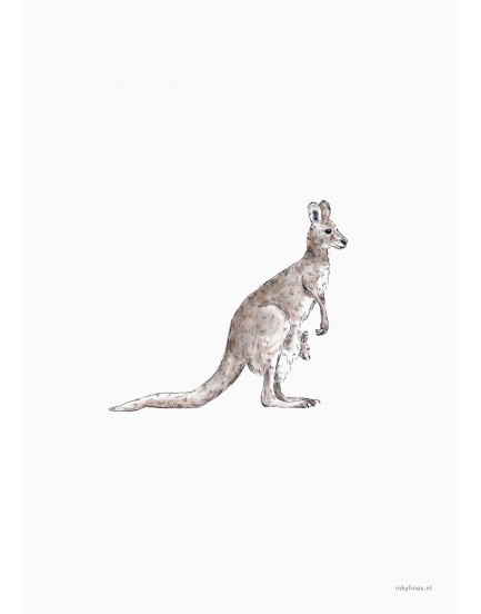 postkaart Inkylines kangoeroe