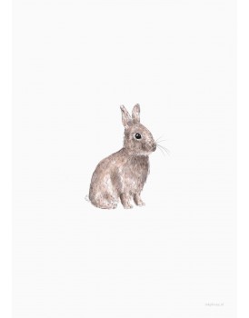 postkaart Inkylines konijn