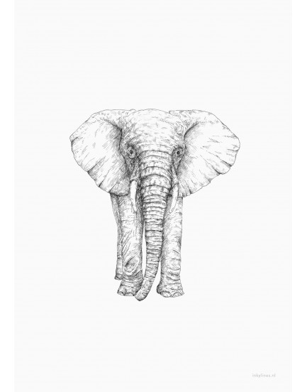 postkaart Inkylines olifant