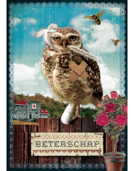 Postkaart Kaartje of kip 17