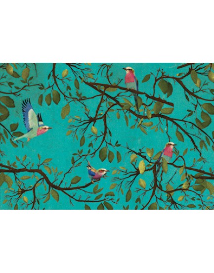 Postkaart vogels 2