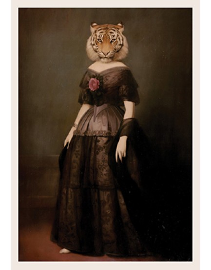 postkaart Stephen Mackey 11