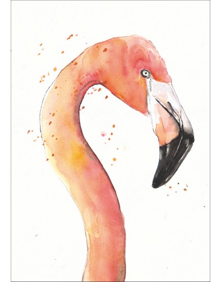 Postkaart flamingo
