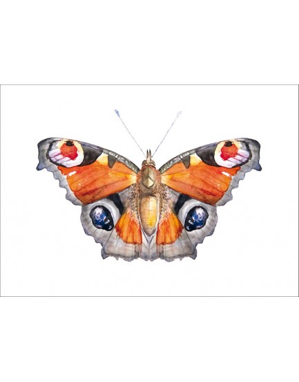 Postkaart pauwoog vlinder