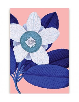 Postkaart flora 6
