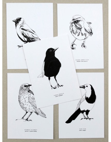 Maartje van de Noort set 5 vogelkaarten
