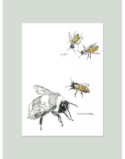 Maartje van den Noort hommel Maartje van den Noort hommel