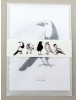 Maartje van de Noort set 5 vogelkaarten