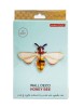Studio Roof honey bee Studio Roof honey bee