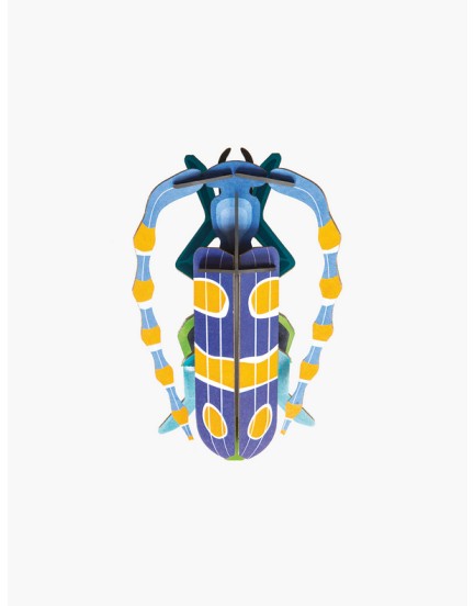 Studio Roof rosalia beetle Studio Roof rosalia beetle